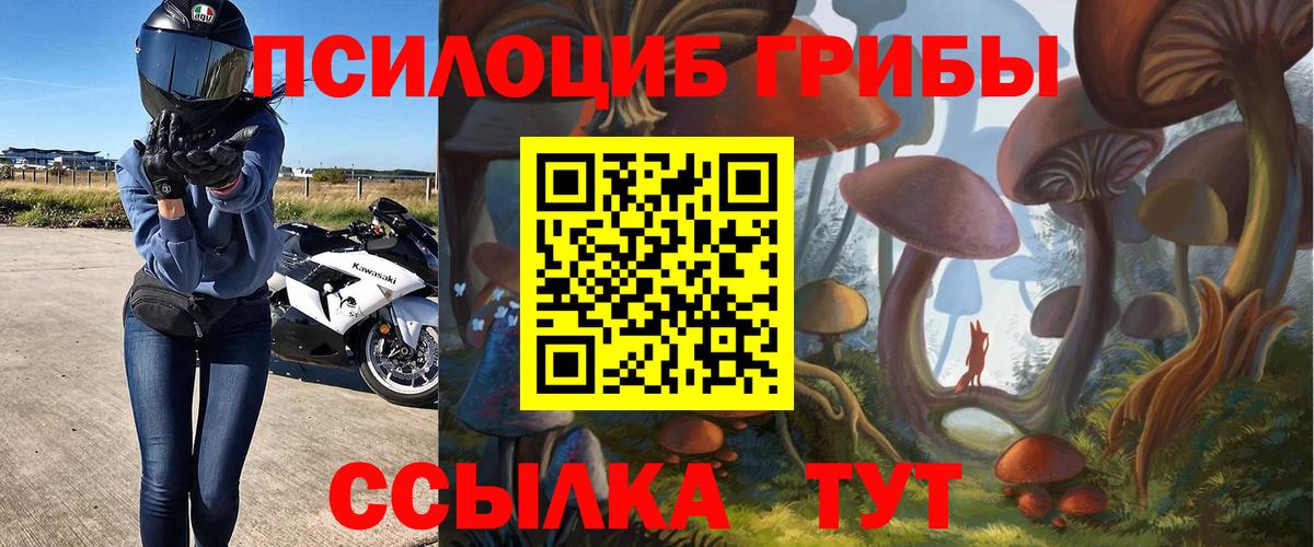 Псилоцибиновые грибы Magic Shrooms  Псилоцибиновые грибы Psilocybine cubensis  Вход с VPN  Алейск 